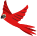 Aves